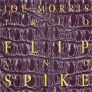 Joe Morris Trio - Flip And Spike album