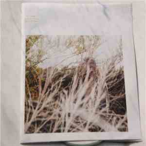 Luke Temple - A Hand Through The Cellar Door album