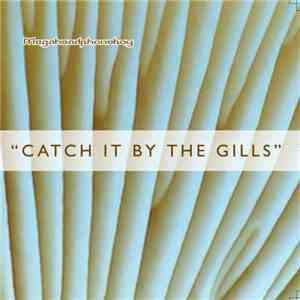 Megaheadphoneboy - Catch It By The Gills album