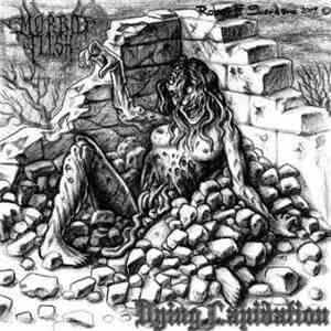 Morbid Flesh - Dying Lapidation album