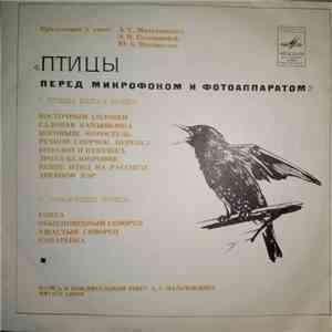 No Artist - Птицы Перед Микрофоном И Фотоаппаратом album
