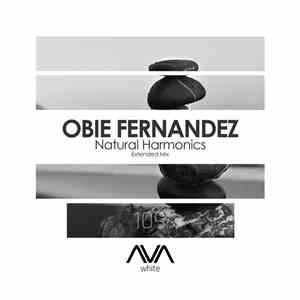 Obie Fernandez - Natural Harmonics album