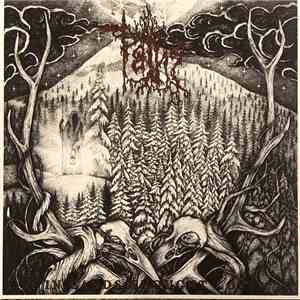 Paths - In Lands Thought Lost album