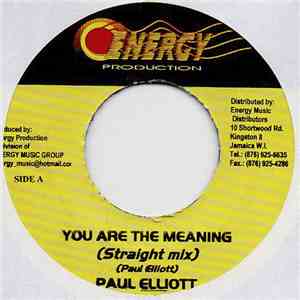 Paul Elliott - You Are The Meaning album