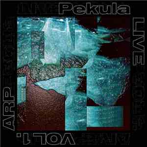 Pekula - Vol. 1 - ARP album