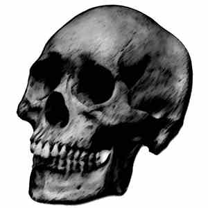 Raw Dada / Napalmed / I,Eternal / Dr. NoiseM - The Black Skull album