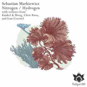 Sebastian Markiewicz  - Nitrogen / Hydrogen album