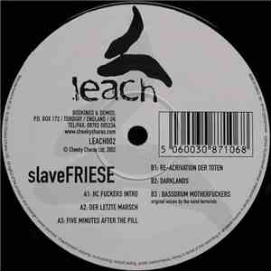 Slavefriese - Untitled album