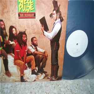 Steel Pulse - True Democracy album