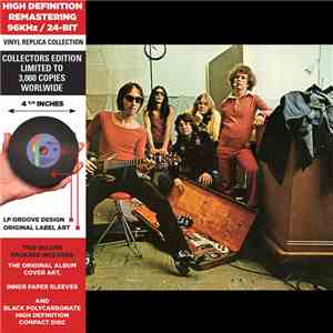 The Flamin' Groovies - Teenage Head album