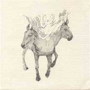 The Sleeping Aides And Razorblades - L.A.M.F album