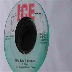 Tony Morgan Muscle Power - Black Skin Blue Eyed Boys / Why Build A Mountain album
