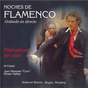 Various - Noches De Flamenco (Flamenco En Vivo) album