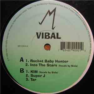 Vibal - Rocket Baby Hunter / Into The Stars album