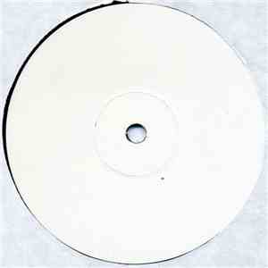 Vini Reilly - The Together Mix album