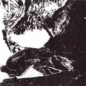 Alleypisser / Ashley C - Useless Knowledge/The Miracle album