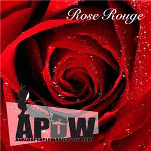 Analog People In A Digital World - Rose Rouge album