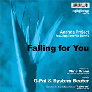 Ananda Project Featuring Terrance Downs - Falling For You album