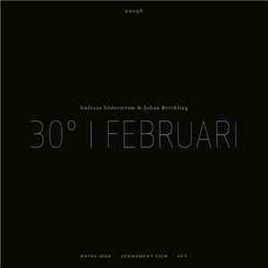 Andreas Söderström & Johan Berthling - 30° I Februari album