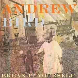 Andrew Bird - Break It Yourself album