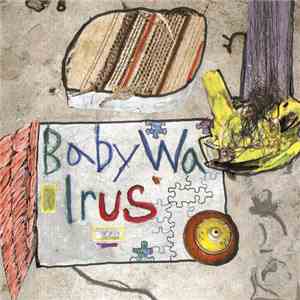 Baby Walrus - Baby Walrus album