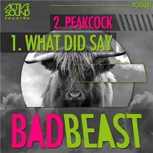 Bad Beast - What Did Say album