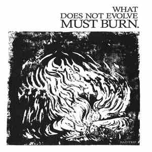 Bad Trip  - What Does Not Evolve Must Burn album