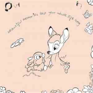 Beautiful Memories Last Your Whole Life Long - Beautiful Memories Last Your Whole Life Long album