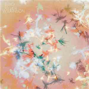 Bibio - Silver Wilkinson album
