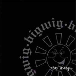 Bigwig - Stay Asleep album