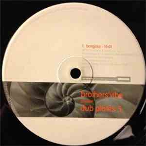 Brothers' Vibe - Dub Plates 5 album