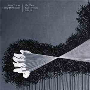 Che Chen, Karen Waltuch, Cal Lyall - String Totems album