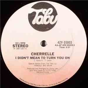 Cherrelle - I Didn't Mean To Turn You On album