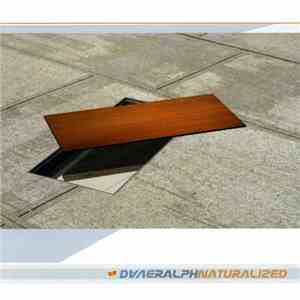 Dave Ralph - Naturalized album