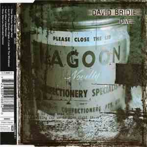 David Bridie - Dive album