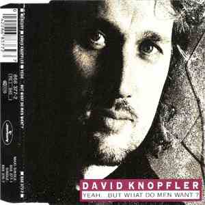 David Knopfler - Yeah... But What Do Men Want? album
