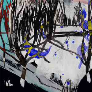 Ego Collapse - Raccoons Came Into The Garden​.​.​.​ album