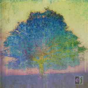 Eric Johnson  - EJ album