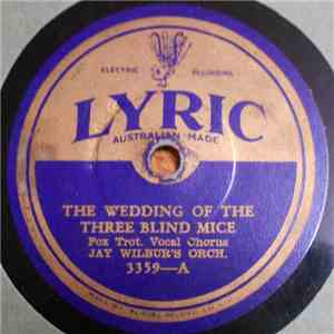 Jay Wilbur's Orch. / Roy Smeck's Novelty Orchestra - The Wedding Of The Three Blind Mice / Laughing At Life album