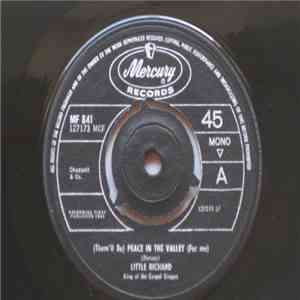 Little Richard - Peace In The Valley / Joy Joy Joy album