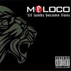 Meloco - 'Til Lambs Become Lions album