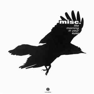 Misc. - Like Morning In Your Eyes album