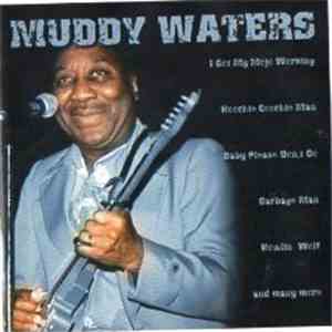 Muddy Waters - Muddy Waters album