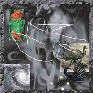 No Zu - Afterlife album