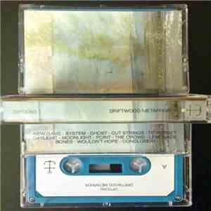 Options  - Driftwood Metaphor album