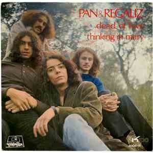 Pan & Regaliz - Dead Of Love / Thinking In Mary album