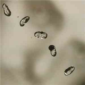 Peter Gabriel - Up album