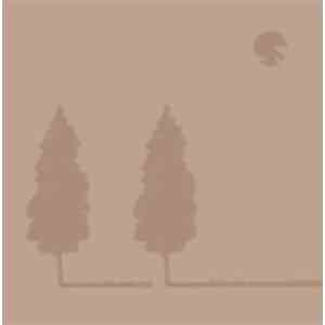 Roommate - We Were Enchanted album