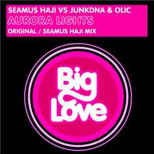 Seamus Haji Vs JunkDNA & Olic - Aurora Lights album