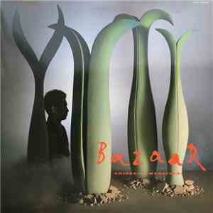 Shigeru Umebayashi - BazaaR album